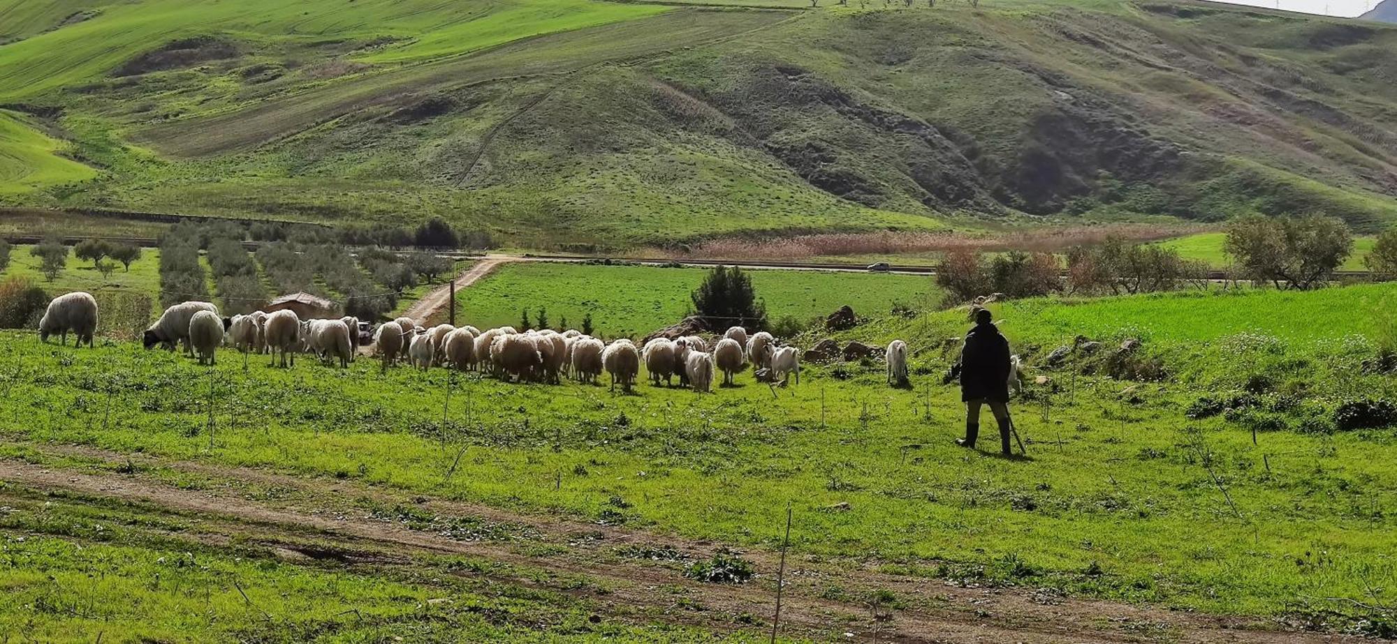 B&B Della Via Francigena Agrigento Zewnętrze zdjęcie